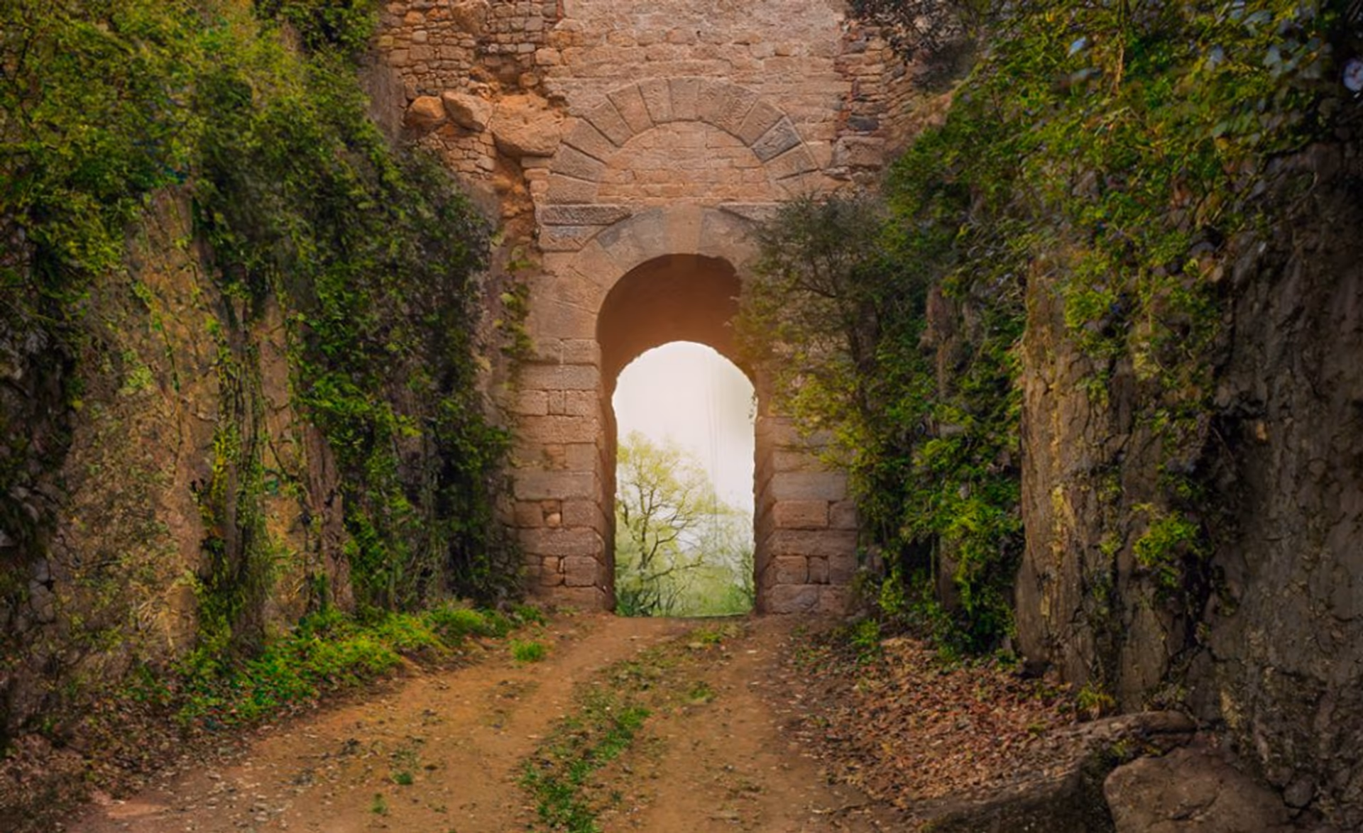 Porta Rosa in Velia set between the rocky sides of the promontory